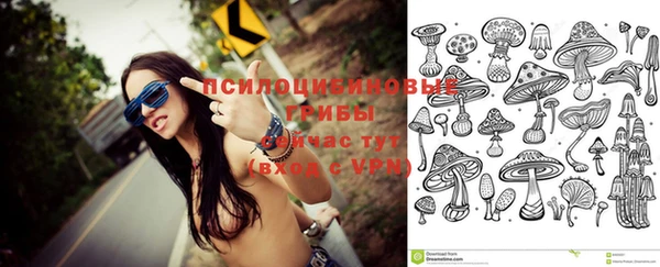 мескалин Ессентукская