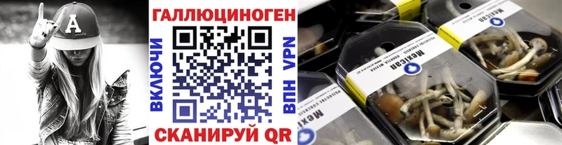 Псилоцибиновые грибы Psilocybine cubensis  Купить закладки  Сафоново 